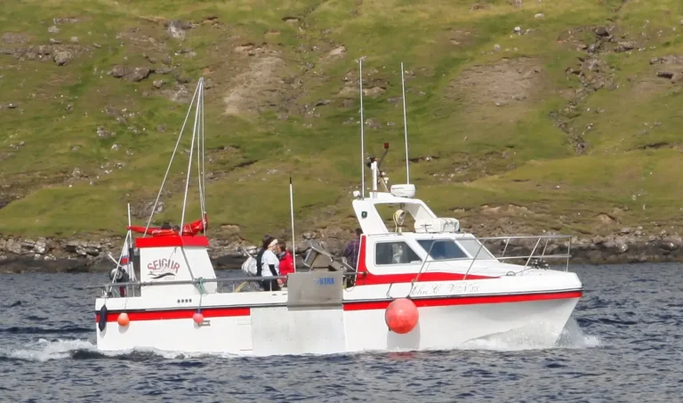 Seigur 1000 – Commercial Fishing Boat for Sale