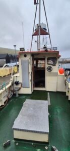 Selfa Arctic 28