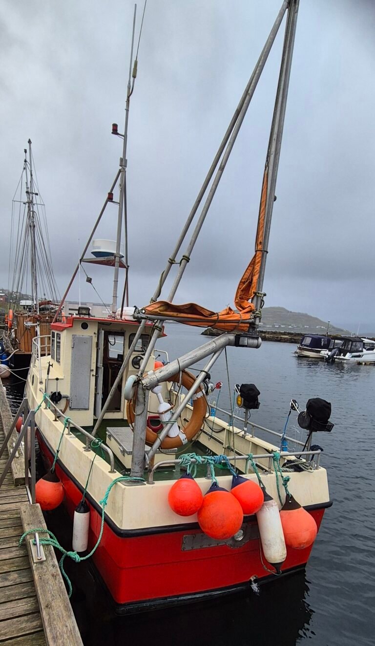 Selfa Arctic 28