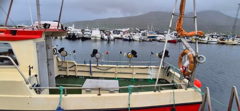 Selfa Arctic 28